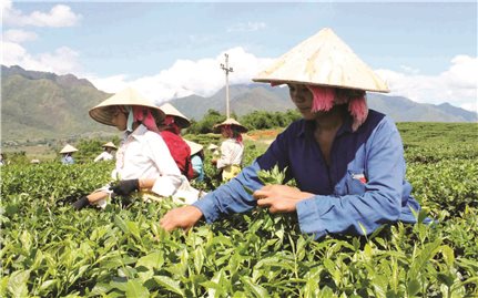 Tân Uyên (Lai Châu): Phấn đấu là huyện đầu tiên về đích nông thôn mới