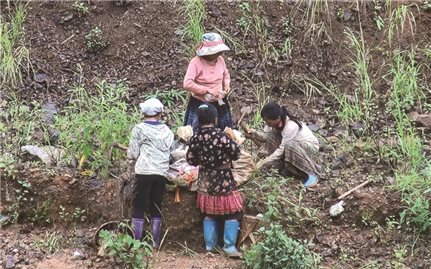 Mỏ vàng Háng Trợ (Điện Biên): “Đóng cửa” trên giấy