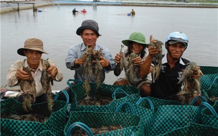 Xây dựng thương hiệu biển xanh khu vực ĐBSCL: Những vấn đề đặt ra