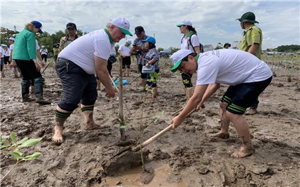 Phát động trồng rừng ngập mặn ở Đồng bằng sông Cửu Long