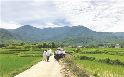 “Cánh đồng tiện ích” cơ hội chuyển đổi sinh kế cho đồng bào vùng DTTS