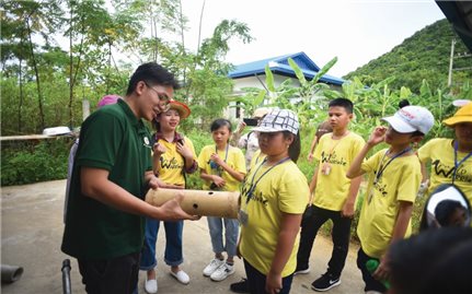 “Ngôi nhà” của loài gấu