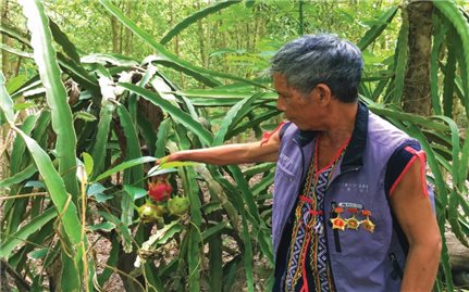 Già làng A Nguyh, tấm gương sáng của thôn Kép Ram