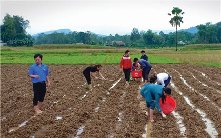 Quang Bình, Hà Giang: Hiệu quả từ lồng ghép sinh hoạt giữa “4 hội, 4 chi”