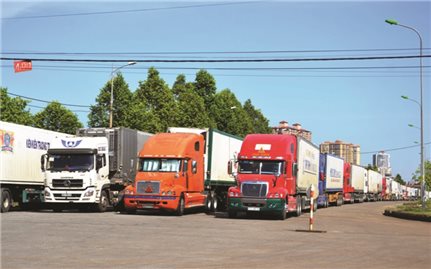 Hàng nghìn tấn thanh long xuất khẩu ùn tắc tại Cửa khẩu Lào Cai