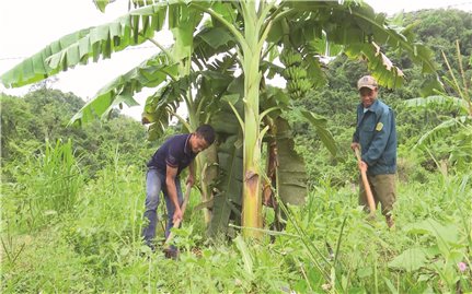 Xây dựng NTM ở vùng DTTS, miền núi Quảng Nam: Đạt chuẩn đã khó, giữ chuẩn càng khó hơn