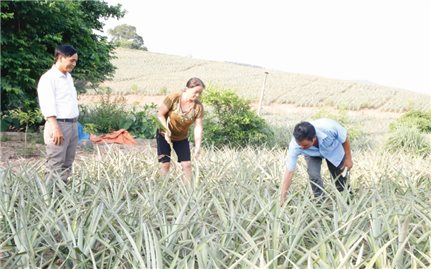 Lục Nam, Bắc Giang: Hoàn thành tốt Quyết tâm thư trước thềm Đại hội