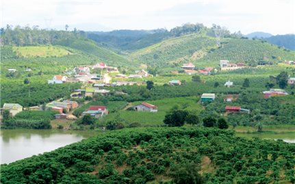 Kỳ vọng từ Đam Rông