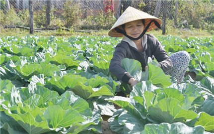 Phụ nữ Đăk Lăk góp phần đẩy lùi “tín dụng đen”