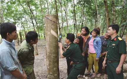 Trí thức trẻ tình nguyện đồng hành với người dân vùng sâu