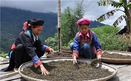 Để phụ nữ dân tộc thiểu số không bị bỏ lại phía sau