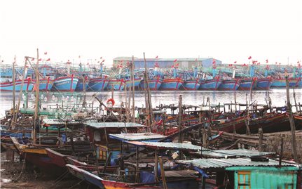Nghệ An: Ngư dân bám biển vươn khơi