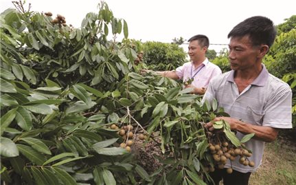 Tín dụng chính sách góp phần bảo đảm an sinh xã hội