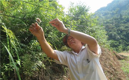 Nơi có 4 nhà máy thủy điện vẫn không có điện