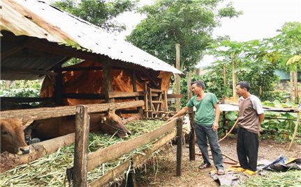 Hoàn thành tiêu chí môi trường ở Ia Bòong: Hành trình gần 10 năm