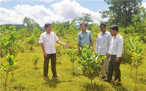Thừa Thiên Huế: Đồng bào DTTS phát triển kinh tế trang trại