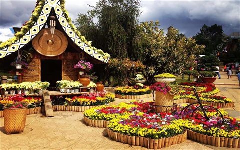 Festival hoa Đà Lạt dự kiến diễn ra từ tháng 11 đến cuối tháng 12/2022