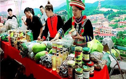 Giữ hạng sao cho sản phẩm OCOP: Nguy cơ “chết yểu" (Bài 1)