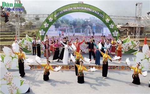 Ngày hội hoa Sơn Tra mở ra cơ hội phát triển vùng