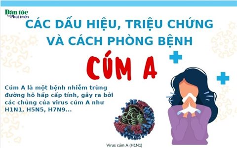 Các dấu hiệu, triệu chứng và cách phòng bệnh cúm A