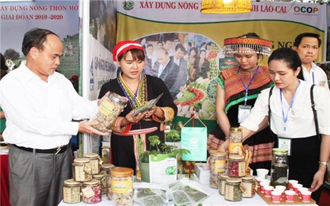 Giữ hạng sao cho sản phẩm OCOP: Tạo sự khác biệt từ "câu chuyện sản phẩm" (Bài 2)
