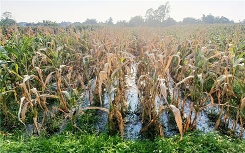 Thanh Hóa: Chỉ đạo kiểm tra, xác minh, xử lý nội dung Báo Dân tộc và Phát triển phản ánh về môi trường