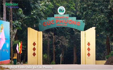 Trải nghiệm Vườn Quốc gia Cúc Phương