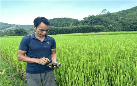 Thái Nguyên: Nhiều hộ nghèo thiếu hoặc không có đất sản xuất