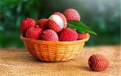 Hướng dẫn cách trồng cây vải không hạt