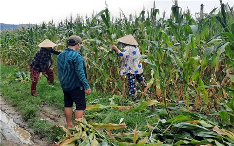 Bình Thuận: Những chính sách đi vào cuộc sống ở vùng đồng bào DTTS và miền núi