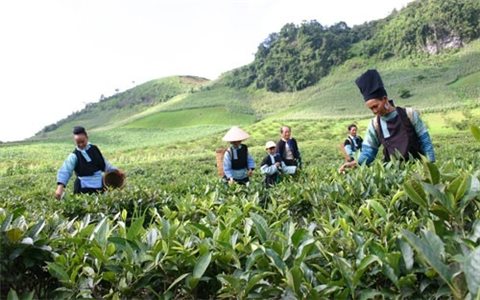 Mức chi hỗ trợ khởi nghiệp, thu hút đầu tư vùng đồng bào dân tộc thiểu số và miền núi