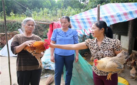 Người phụ nữ "hai vai" miệng nói tay làm