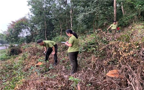 Thanh Hóa: Làm rõ tình trạng cây bị chặt hạ tại rừng đặc dụng