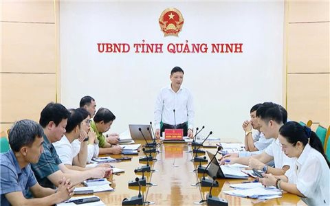 Quảng Ninh: Khôi phục sản xuất nông lâm nghiệp sau bão số 3 từ vạch xuất phát