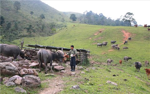 Nghệ An: Thực hiện Chương trình MTQG 1719, tỷ lệ hộ nghèo ở huyện miền núi Quế Phong giảm nhanh