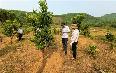 Quảng Ngãi: Giải ngân vốn Chương trình mục tiêu quốc gia 1719 đạt gần 50%