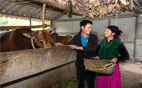 Động lực đưa đồng bào DTTS ở Lũng Táo vươn lên thoát nghèo