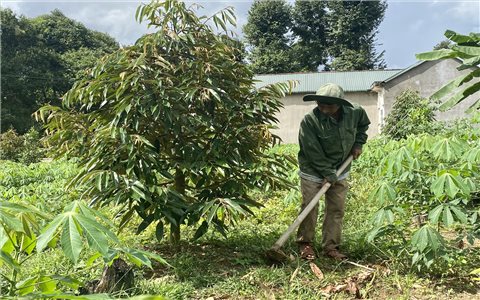 Kon Tum: Đẩy mạnh triển khai chính sách đất đai đối với đồng bào DTTS