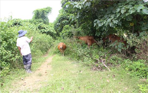 Người có uy tín “đa zi năng” trong vùng đồng bào dân tộc Gié Triêng