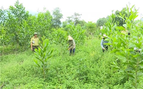 Động lực xóa bỏ “5 nhất” ở Cao Bằng: Thực hiện hiệu quả Chương trình MTQG 1719 để không còn nghèo nhất (Bài 1)