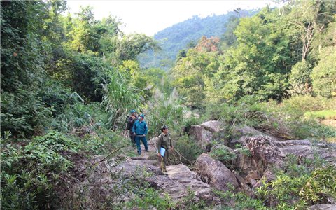 Khánh Hòa: Thực hiện chính sách giao khoán bảo vệ rừng – “Lợi cả đôi đường”
