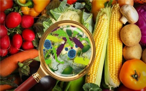 Hỗ trợ điều trị ngộ độc thực phẩm bằng rau củ trong vườn nhà