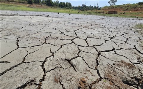 Gia Lai: Hạn hán gây thiệt hại gần 380 ha cây trồng
