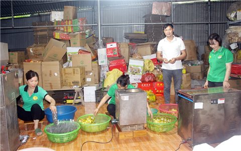 Chàng trai người Tày gieo niềm tin cho người trồng chè ở Phú Lương
