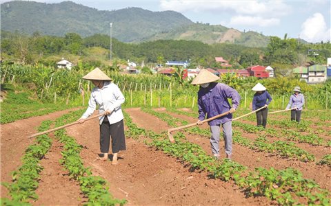 Chính sách dân tộc làm thay đổi đời sống đồng bào DTTS ở Mường Nhé