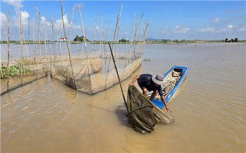 Nguy cơ ngập ở khu vực miền Tây Nam bộ do nước sông Mekong dâng cao