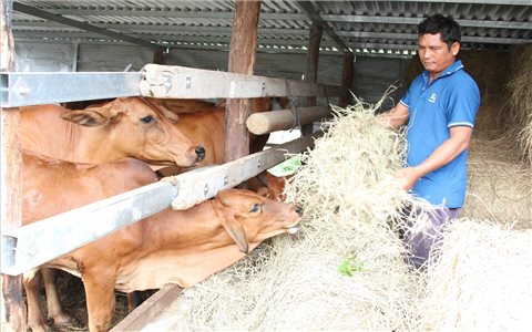 Chương trình MTQG 1719 nâng cao đời sống cho đồng bào DTTS huyện Thuận Bắc