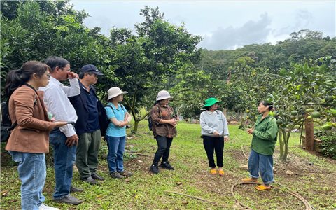 Gia Lai: Khảo sát tiềm năng phát triển du lịch nông thôn