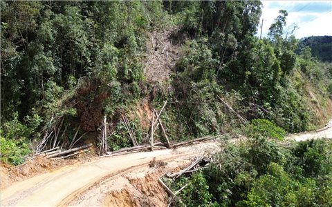 Quảng Ngãi: Người dân sợ hãi với cảnh gỗ nằm chênh vênh trên sườn núi ở tuyến tỉnh lộ 676