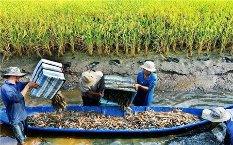 Nông nghiệp phía Nam tăng tốc chuyển đổi xanh, hướng tới phát triển bền vững